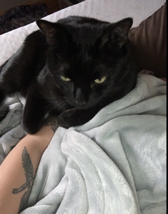 Keety